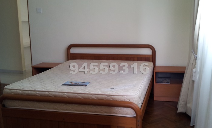 Pacific Mansion (Enbloc) (D9), Condominium #432492